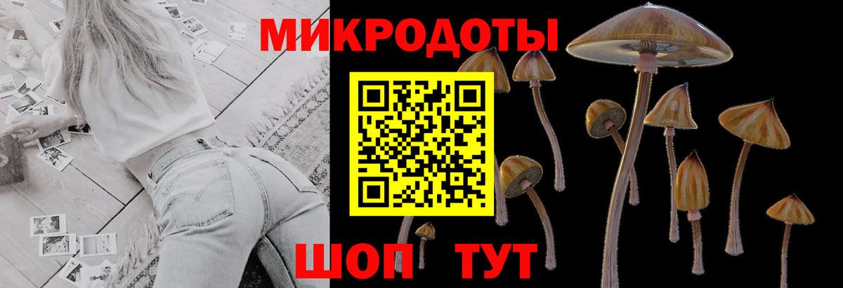 Галлюциногенные грибы Psilocybe  Вход с VPN  закладка  Прохладный 